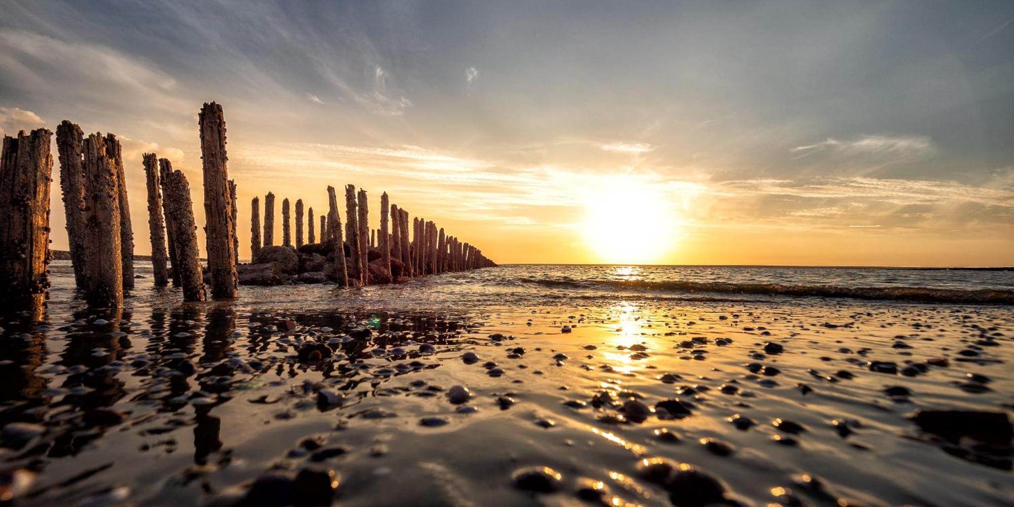 Arche Svea Kiebitz Spiekeroog Buitenkant foto
